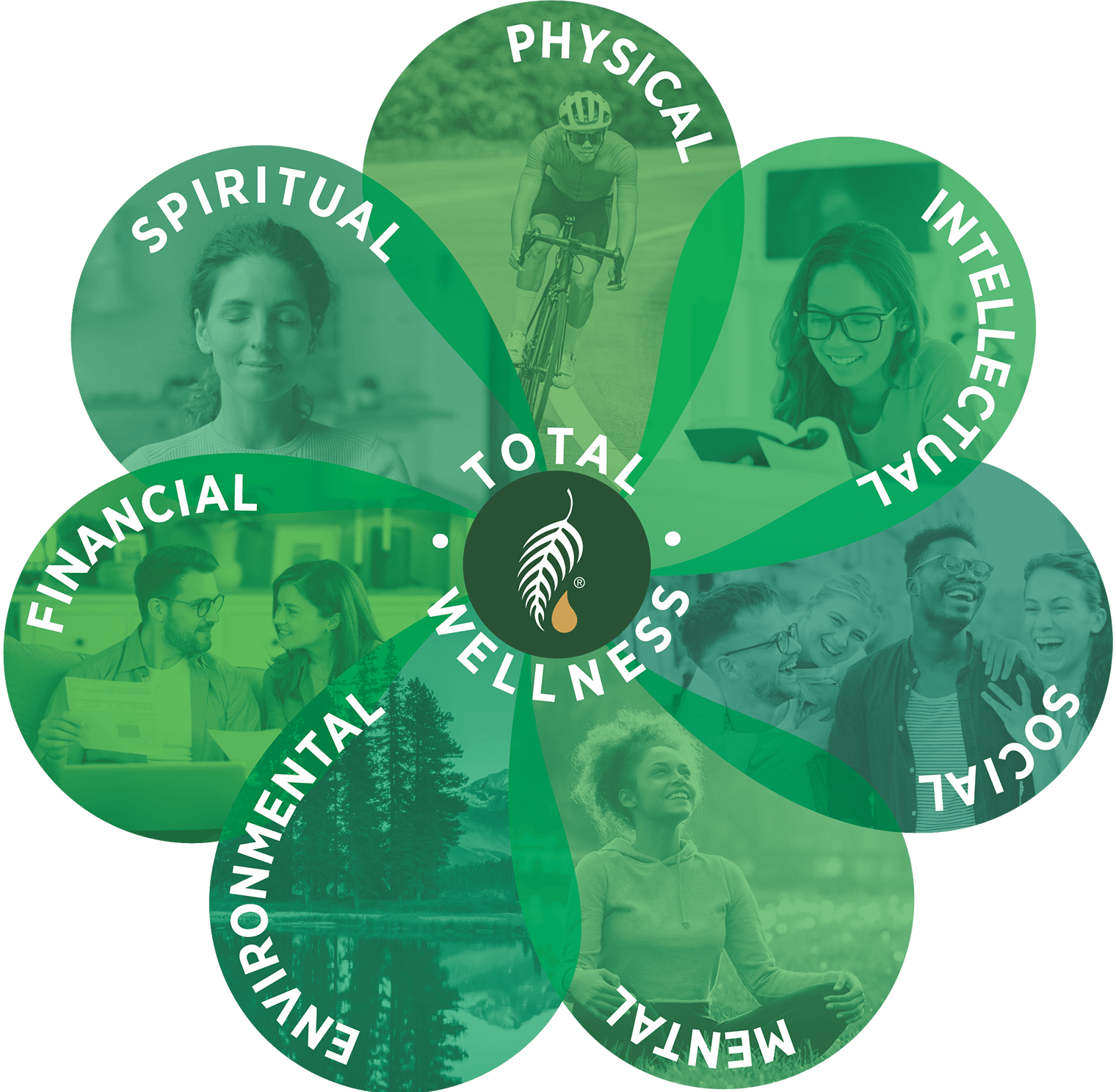 wheel of wellness melaleuca the wellness company