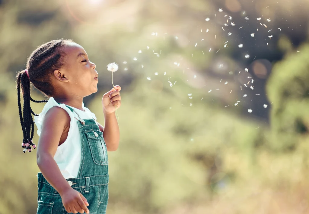 dandelion